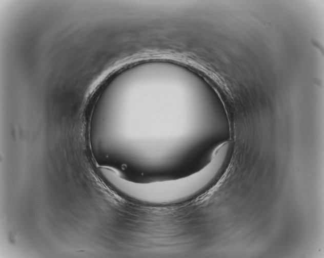 X0000096471502200802141645