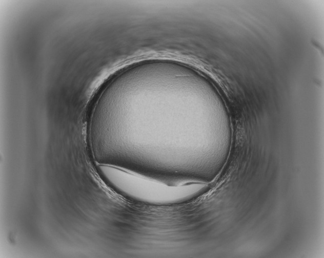 X0000096471503200802141645