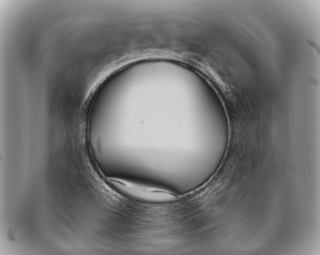 X0000096471504200802141645