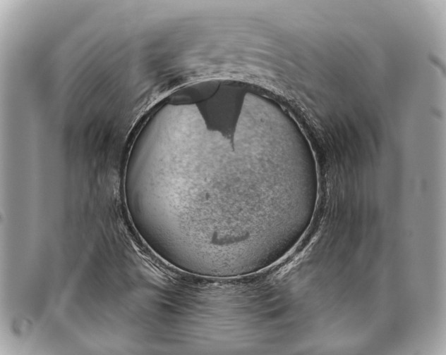 X0000096471505200802141645