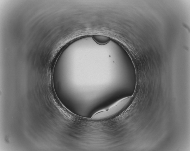 X0000096471507200802141645