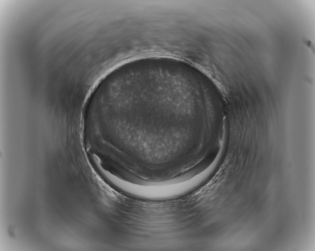 X0000096471508200802141645