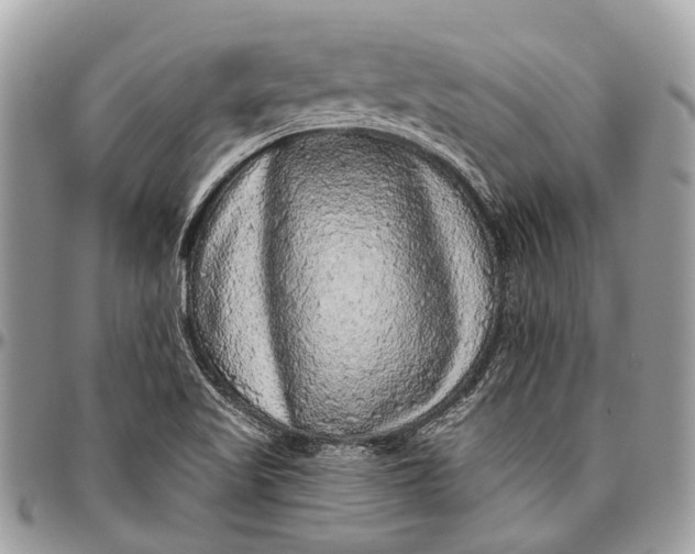 X0000096471509200802141645