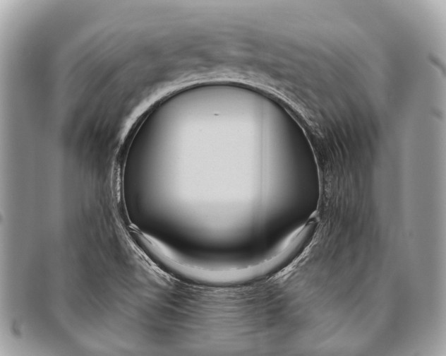 X0000096471510200802141645