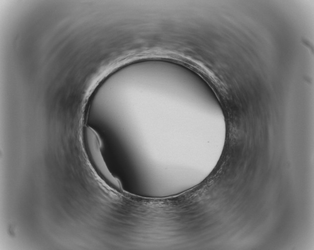 X0000096471512200802141645