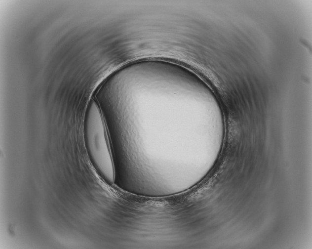 X0000096471513200802141645