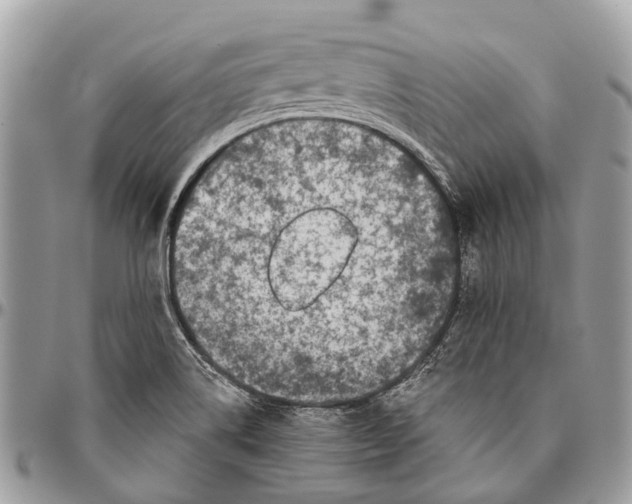 X0000096471514200802141645