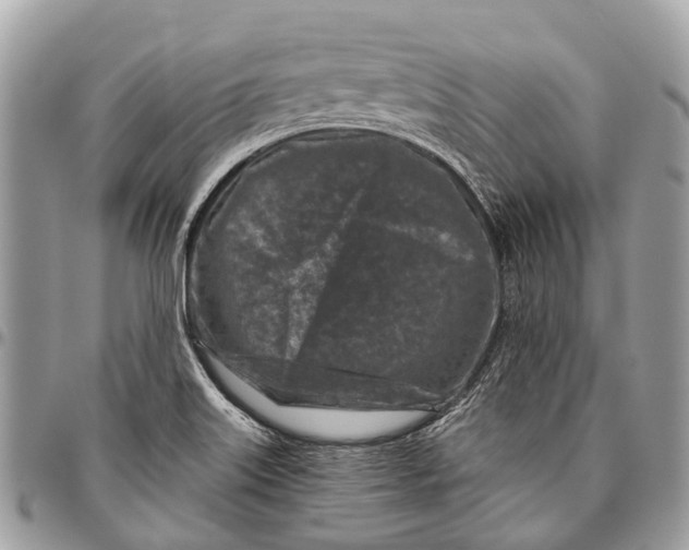 X0000096471515200802141645