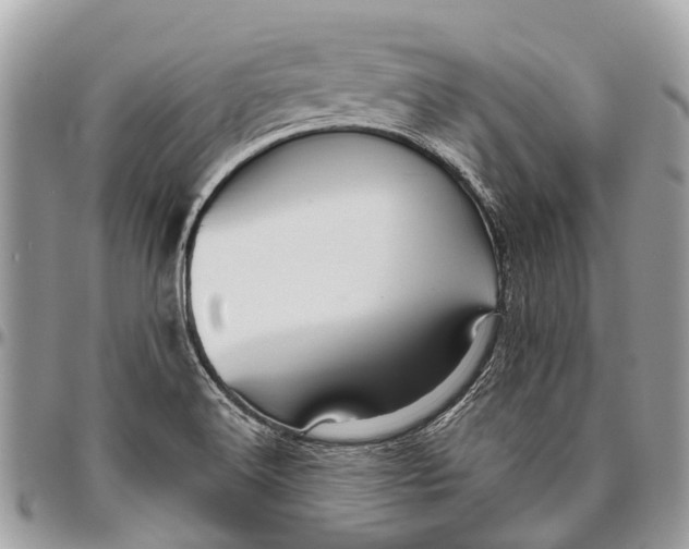 X0000096471516200802141645