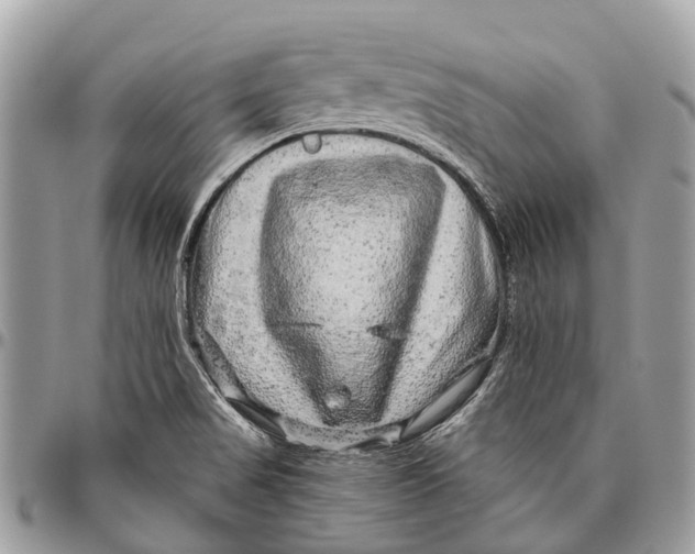 X0000096471517200802141645