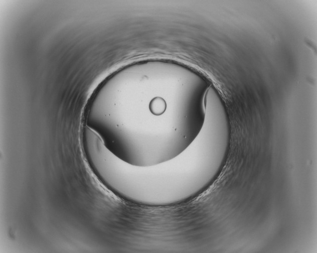 X0000096471518200802141645