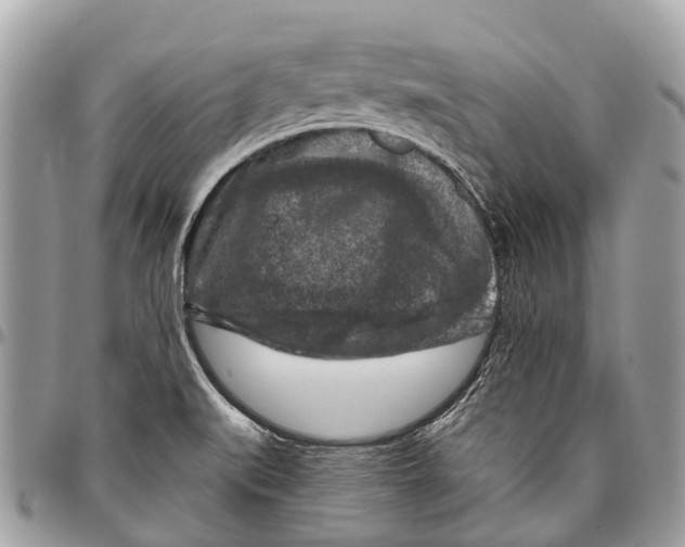 X0000096471519200802141645