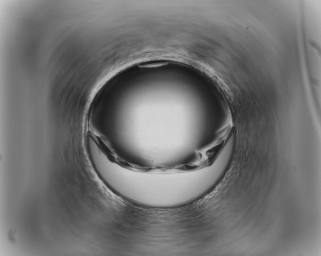 X0000096471520200802141646