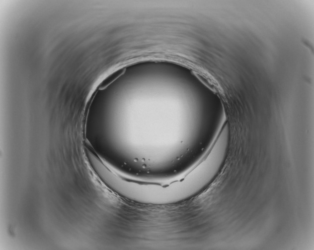 X0000096471530200802141646