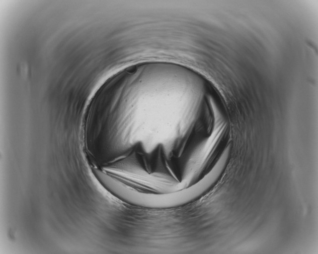 X0000096471531200802141646