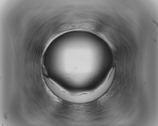 X0000096471532200802141646