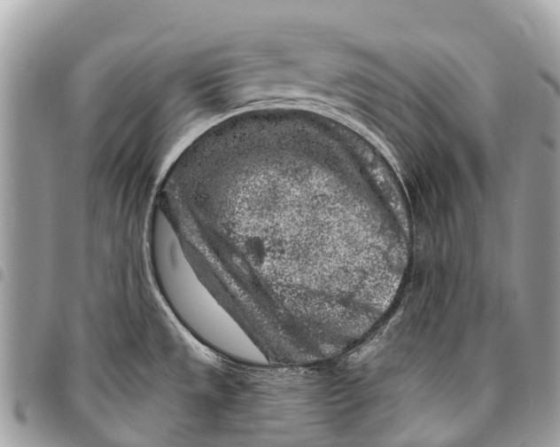 X0000096471533200802141646