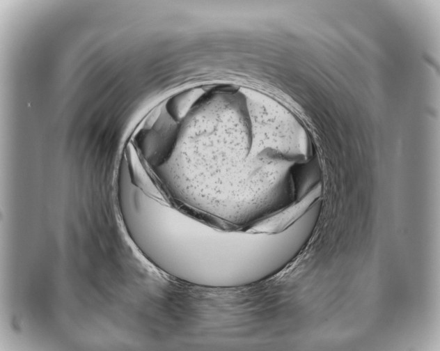 X0000096471536200802141646