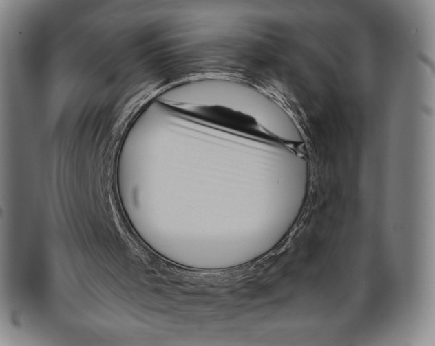X0000096470001200802211202