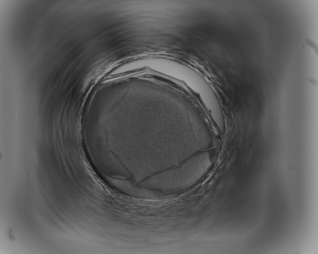 X0000096470002200802211201