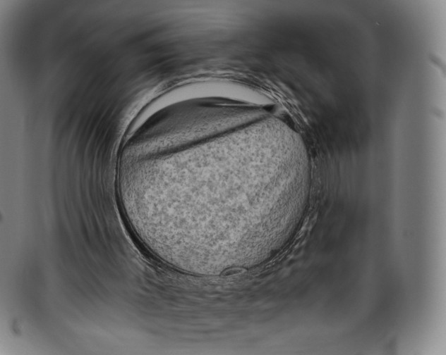 X0000096470003200802211201