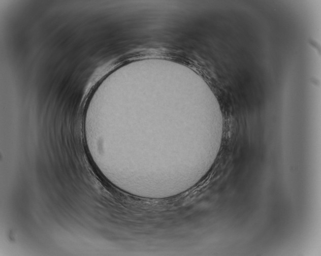 X0000096470004200802211201