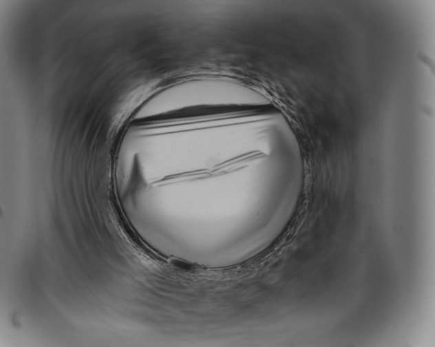 X0000096470005200802211201