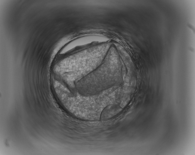 X0000096470006200802211201