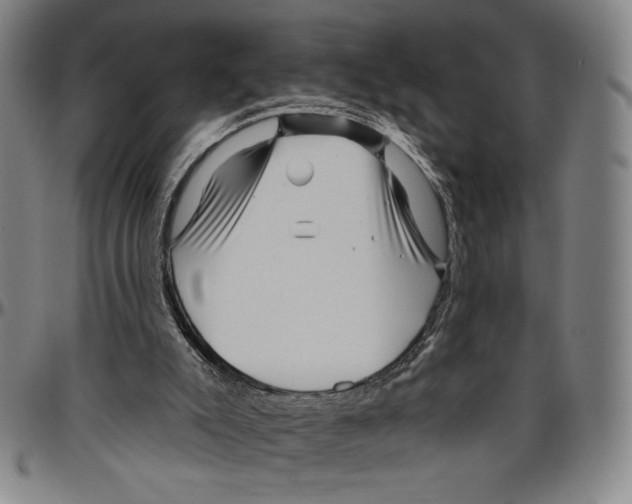 X0000096470007200802211201