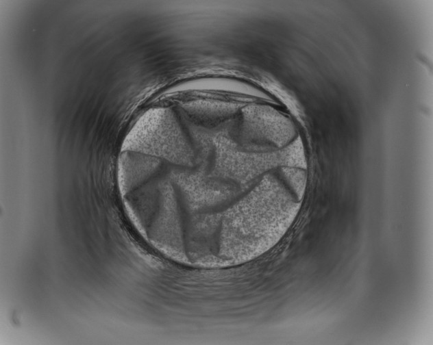 X0000096470009200802211201