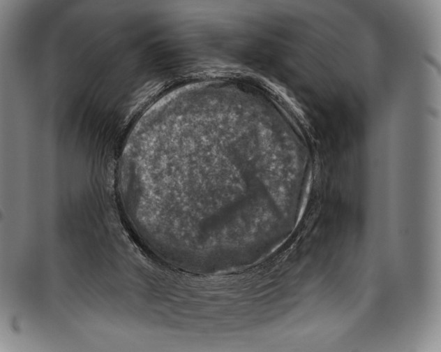 X0000096470010200802211201
