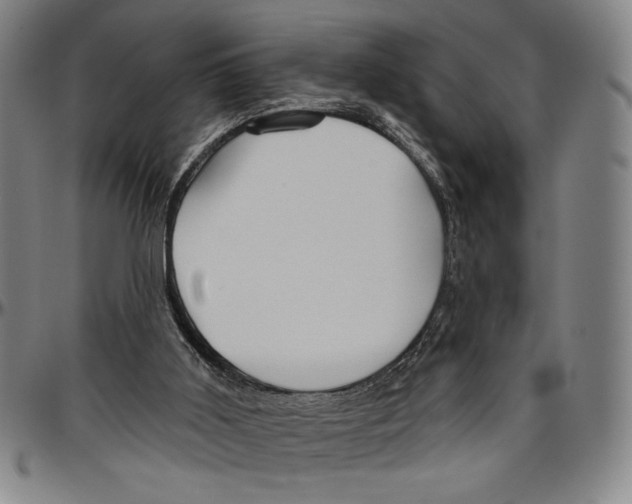 X0000096470011200802211201