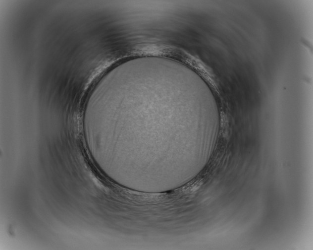X0000096470012200802211201