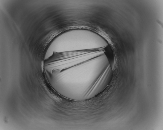 X0000096470013200802211201