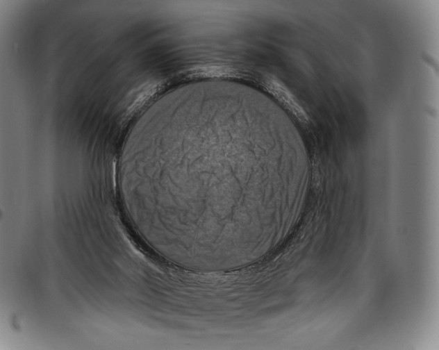 X0000096470014200802211201