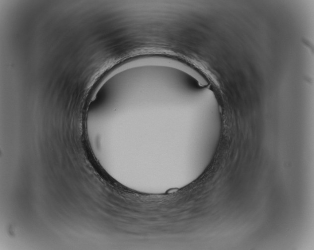 X0000096470015200802211201