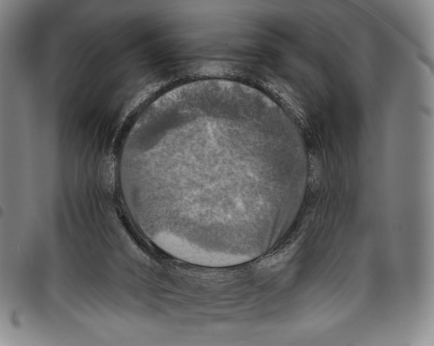 X0000096470016200802211201
