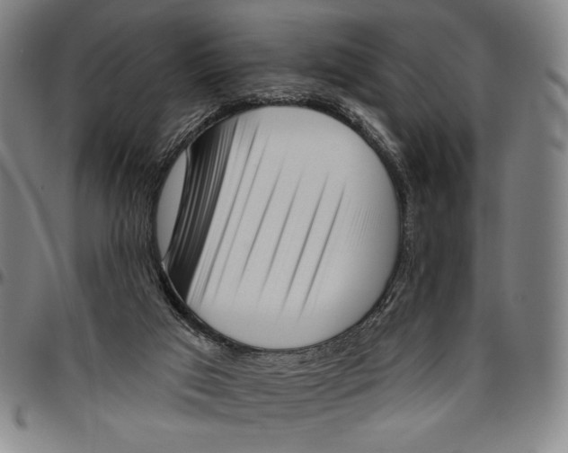 X0000096470017200802211201