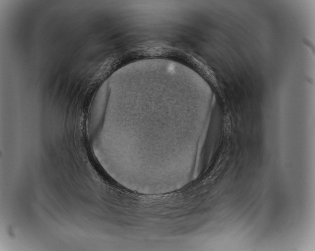 X0000096470018200802211201