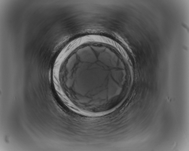 X0000096470019200802211201