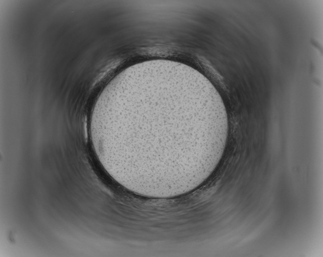 X0000096470020200802211201