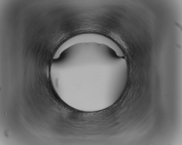 X0000096470021200802211201
