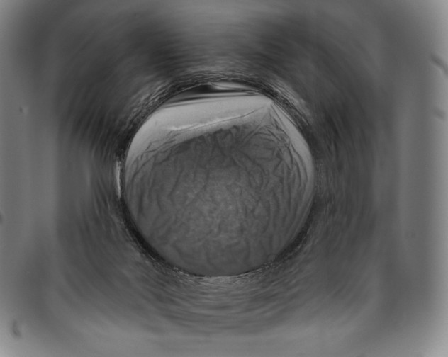 X0000096470022200802211201