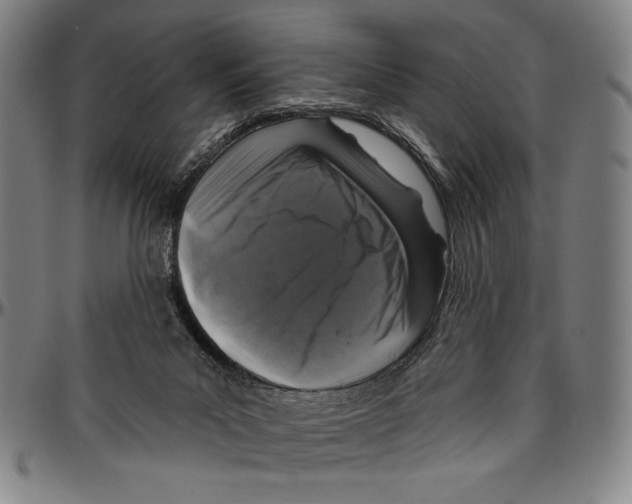 X0000096470023200802211201