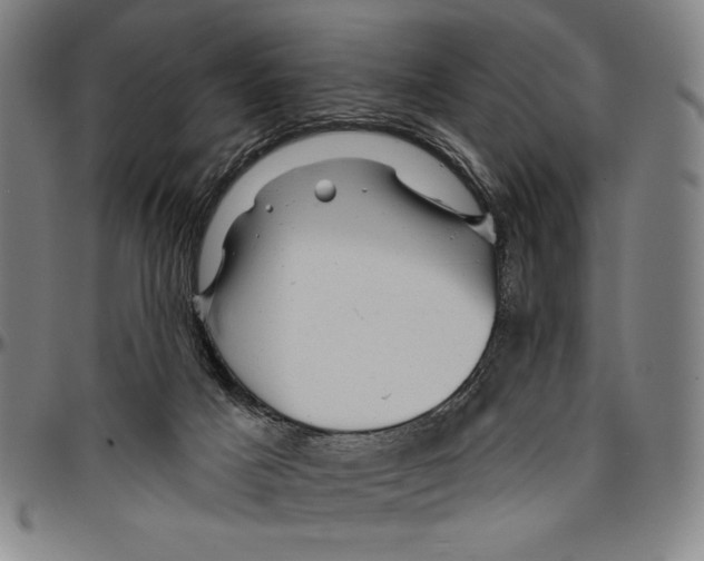 X0000096470025200802211201