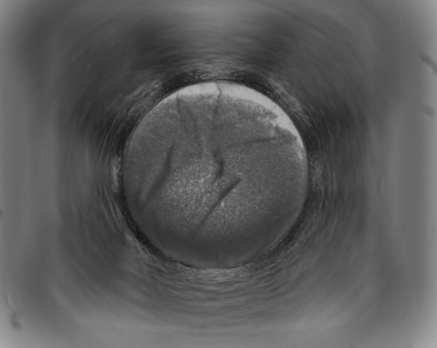 X0000096470026200802211201