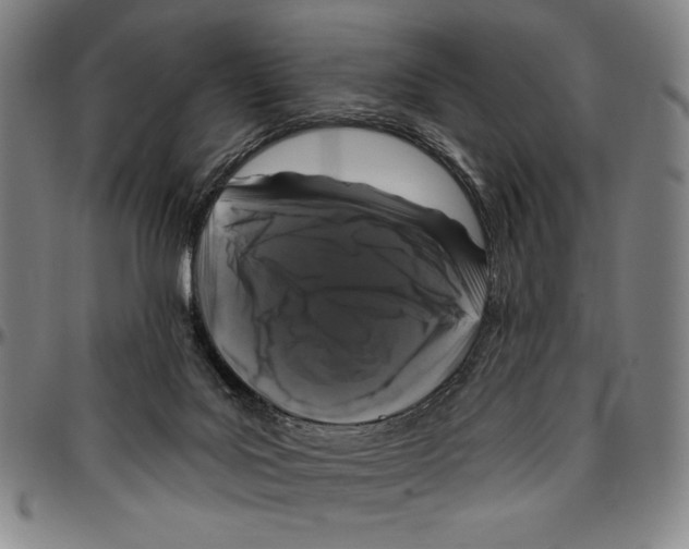 X0000096470027200802211201