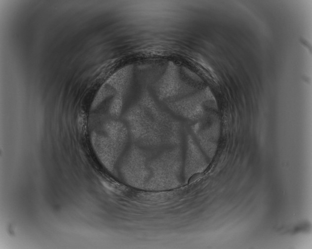 X0000096470029200802211201