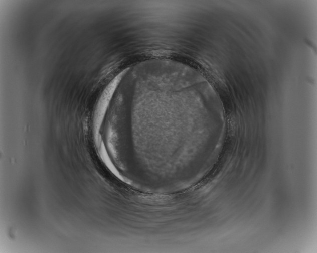 X0000096470032200802211201