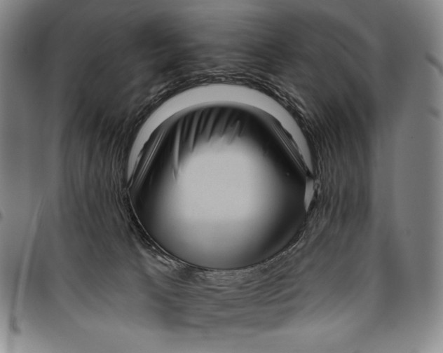 X0000096470033200802211201